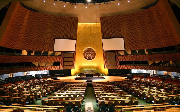 The Haitian Bridge Alliance Addressed the UN on anti-Black discrimination and mistreatment in the US asylum and immigration system
